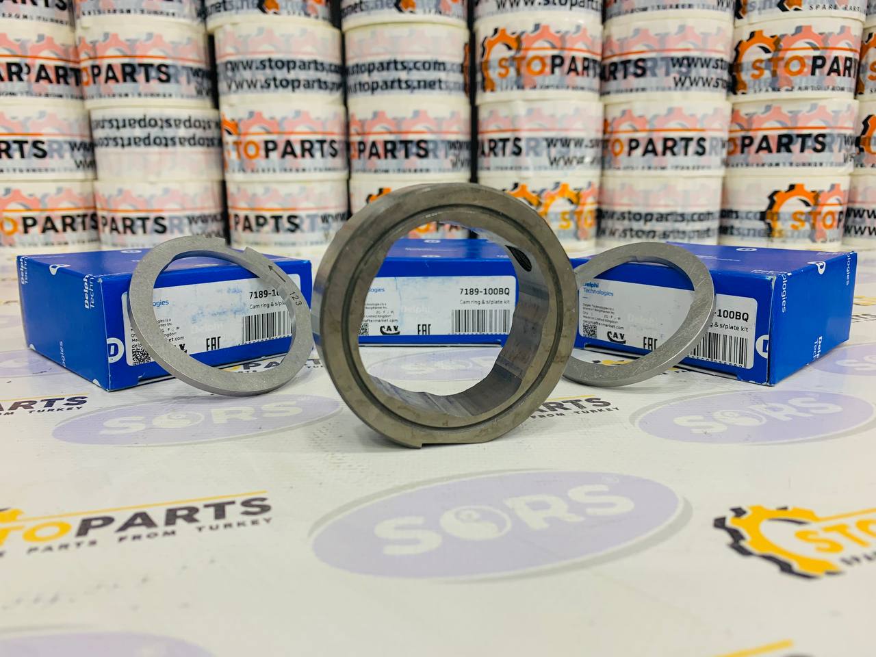 CAM RING AND SCROLL PLATE KIT 7189-100BQ, 7189100BQ DELPHI (ORIGINAL)